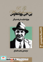 قیمت و خرید کتاب موج جنایت در بلندینگز | ایده بوک