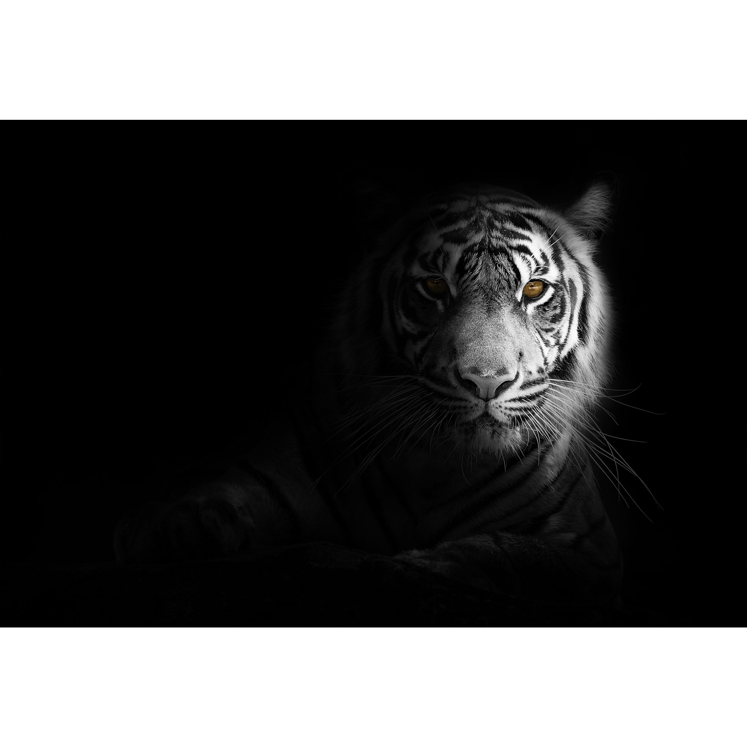 تابلو شاسی طرح ببر مدل T1471