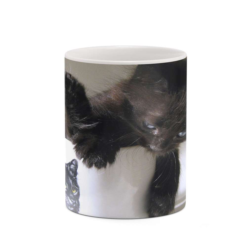 ماگ کاکتی طرح گربه سان مدل mgh19244