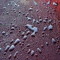 خرید و دانلود عکس ShutterStock-2014-Backgrounds &amp; Textures کد 53581 | پیک فاکس | Pic Fox