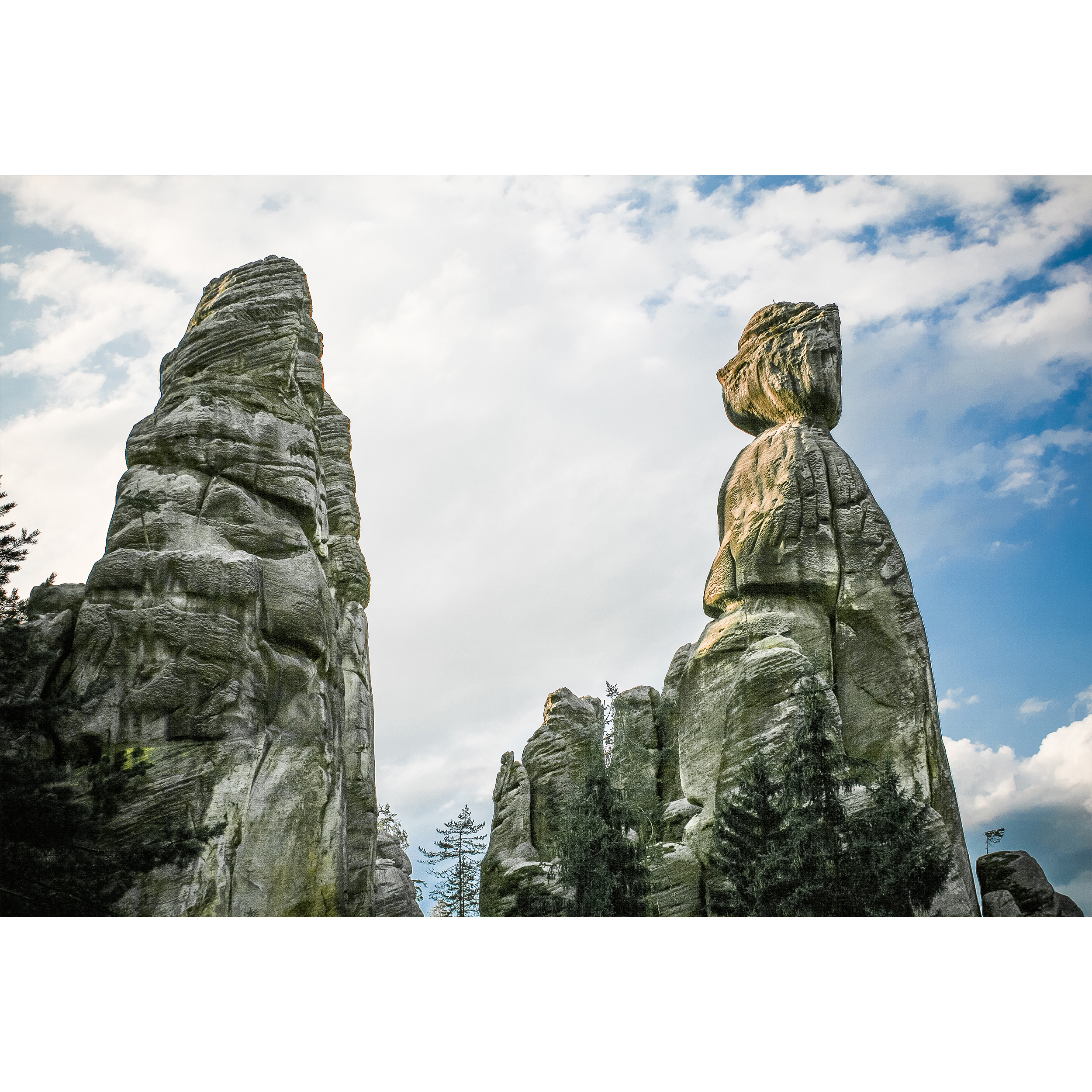 تابلو شاسی طرح مناظر طبیعی حفاظت‌شده بروموفسکو مدل T1129