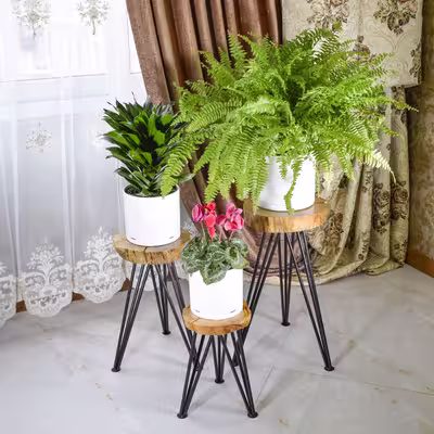 استند گلدان مدل  رستیک مجموعه سه عددی