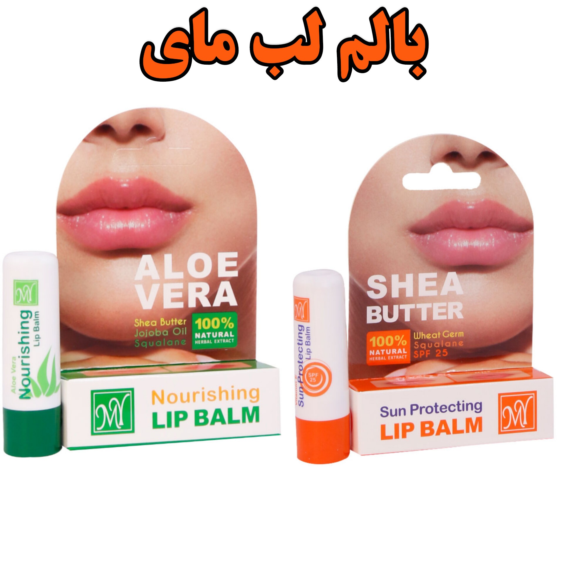 بالم لب برند مای