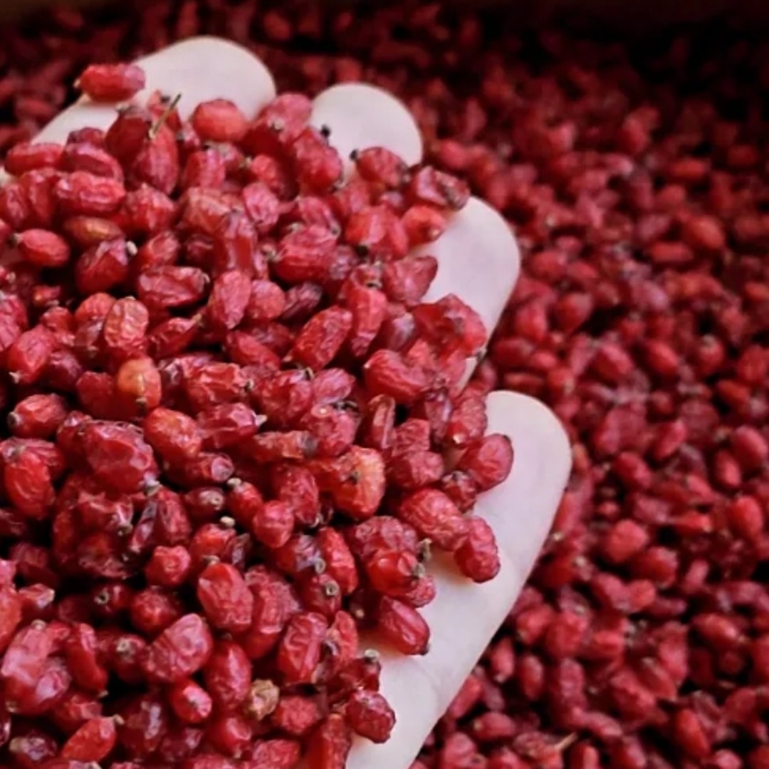 زرشک دونه اناری   اعلا  (مستقیم از کشاورز)در بسته بندی یک کیلویی  و کارتنی 