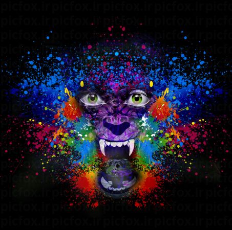 خرید و دانلود عکس Misc-Part-1 کد 33654 | پیک فاکس | Pic Fox