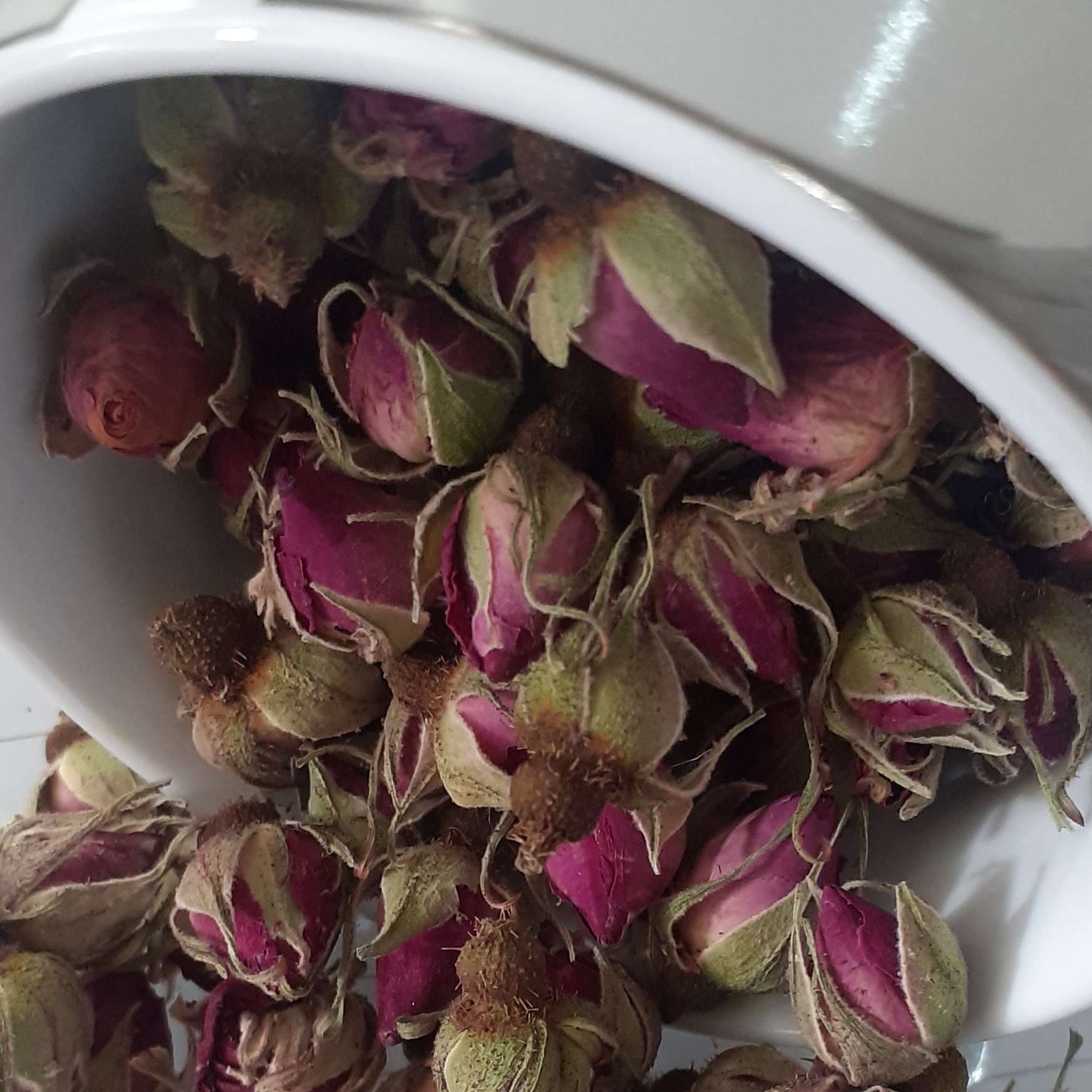 غنچه ی گل محمدی