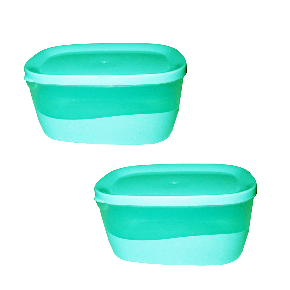 ظرف نگهدارنده مدل روشا کد 1399 بسته 2 عددی