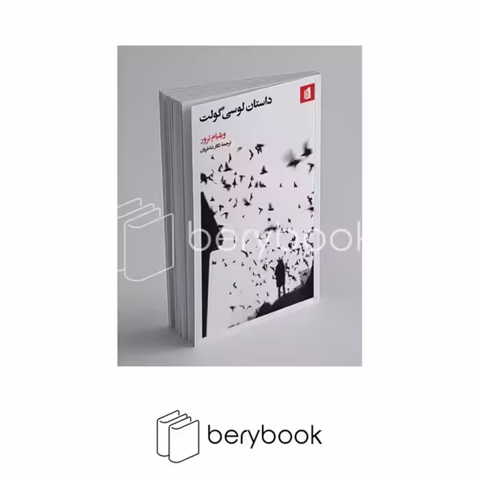 کتاب داستان لوسی گولت / شومیز / بیدگل