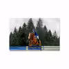 برچسب پوششی ماهوت مدل Equestrianism مناسب برای تبلت سامسونگ Galaxy Tab S3 9.7 2017 T820