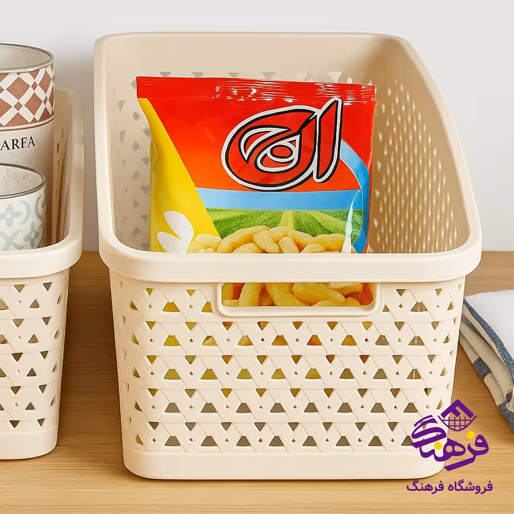 سبد نظم دهنده پالرمو2 اکسون 1051