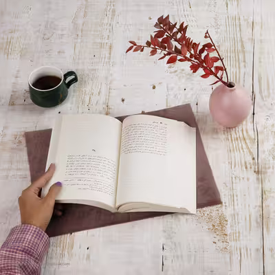 کتاب گرسنگی ( سرگذشت بدن من ) اثر رکسان گی انتشارات سخن