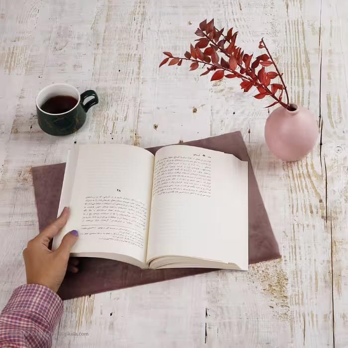 کتاب گرسنگی ( سرگذشت بدن من ) اثر رکسان گی انتشارات سخن