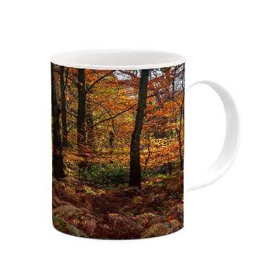 ماگ کاکتی طرح منظره پاییزی مدل mgh18578