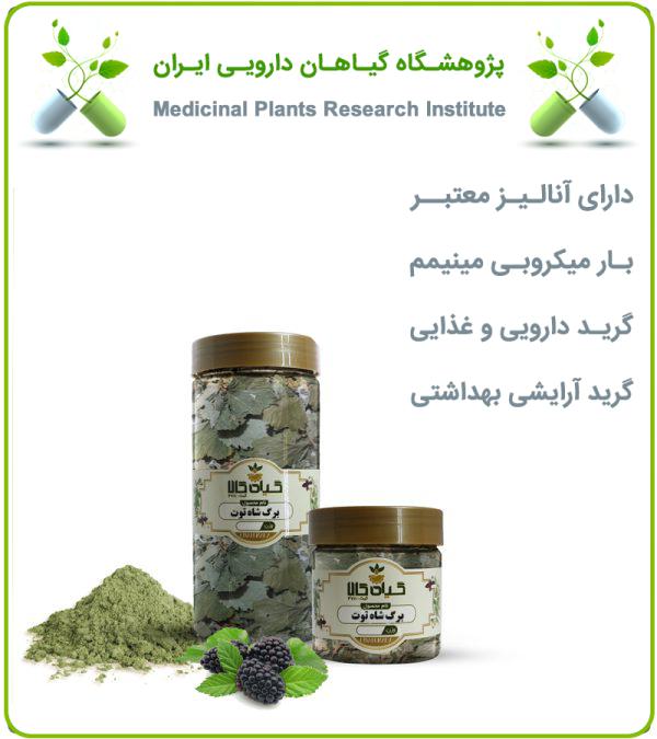 برگ شاه توت خشک یا پودری بسته بندی