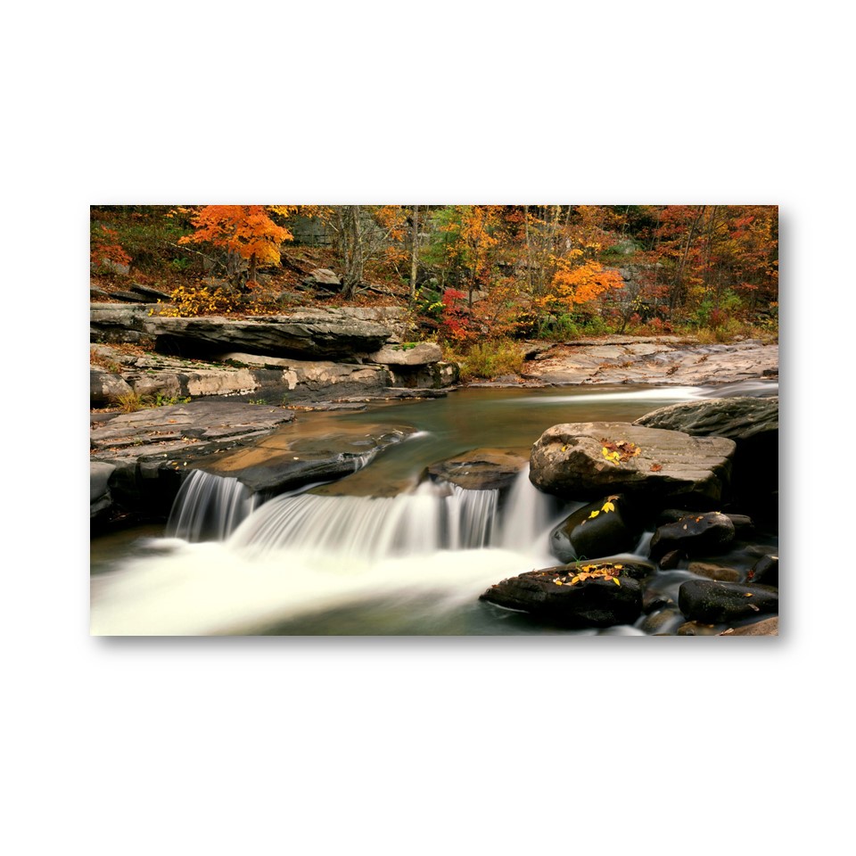 تابلو شاسی مدل طبیعت کد 15