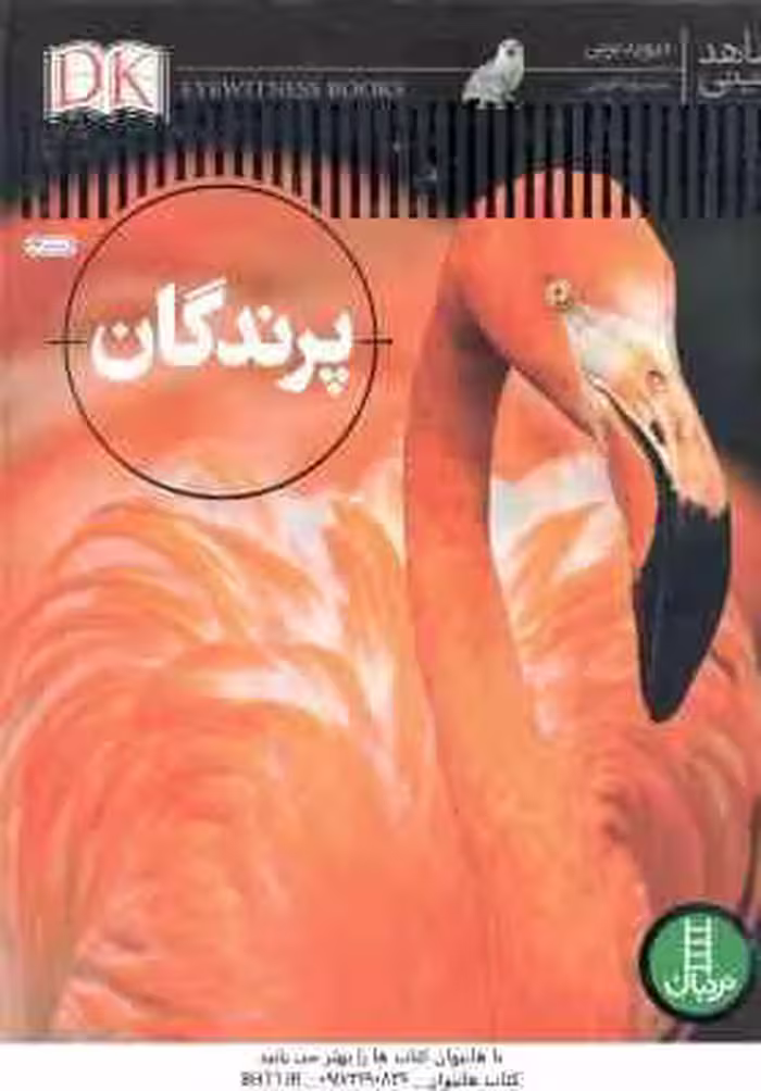 پرندگان ( دیوید برنی – محمدرضا افضلی ) شاهد عینی