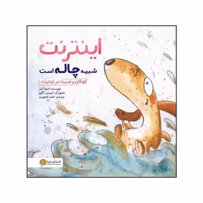 کتاب اینترنت شبیه چاله است اثر شونا آینز نشر مهرسا 