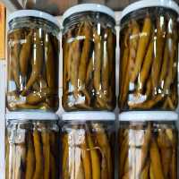 ترشی فلفل سبز  درشت،کاملا ارگانیک و بهداشتی،با طعمی بی نظیر و کیفیت عالی