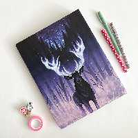 کلاسور100برگ قفل فلزسویل کد06