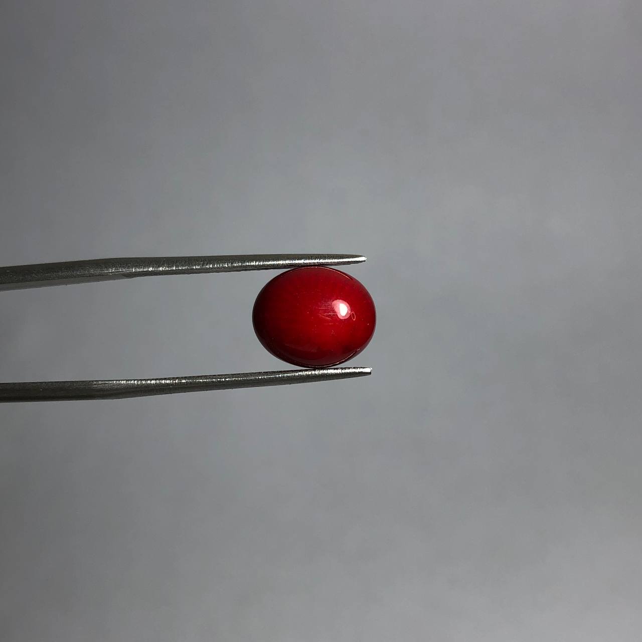 نگین مرجان قرمز بهسازی شده 240580