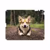 برچسب پوششی ماهوت مدل Dog-2 مناسب برای تبلت اپل iPad 2 2011 A1396