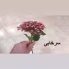 گل مصنوعی مدل شاخه قوره PA-10720