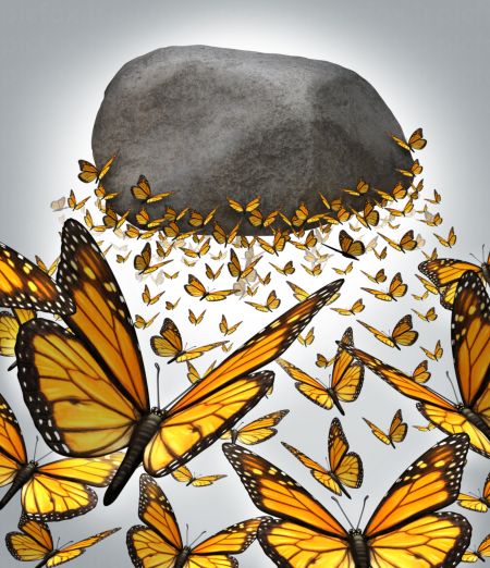 خرید و دانلود عکس Animals-Part-4 - کیفیت بالا | پیک فاکس | Pic Fox