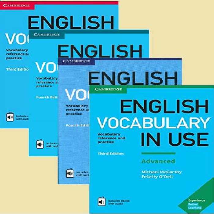 English Vocabulary in Use CD
