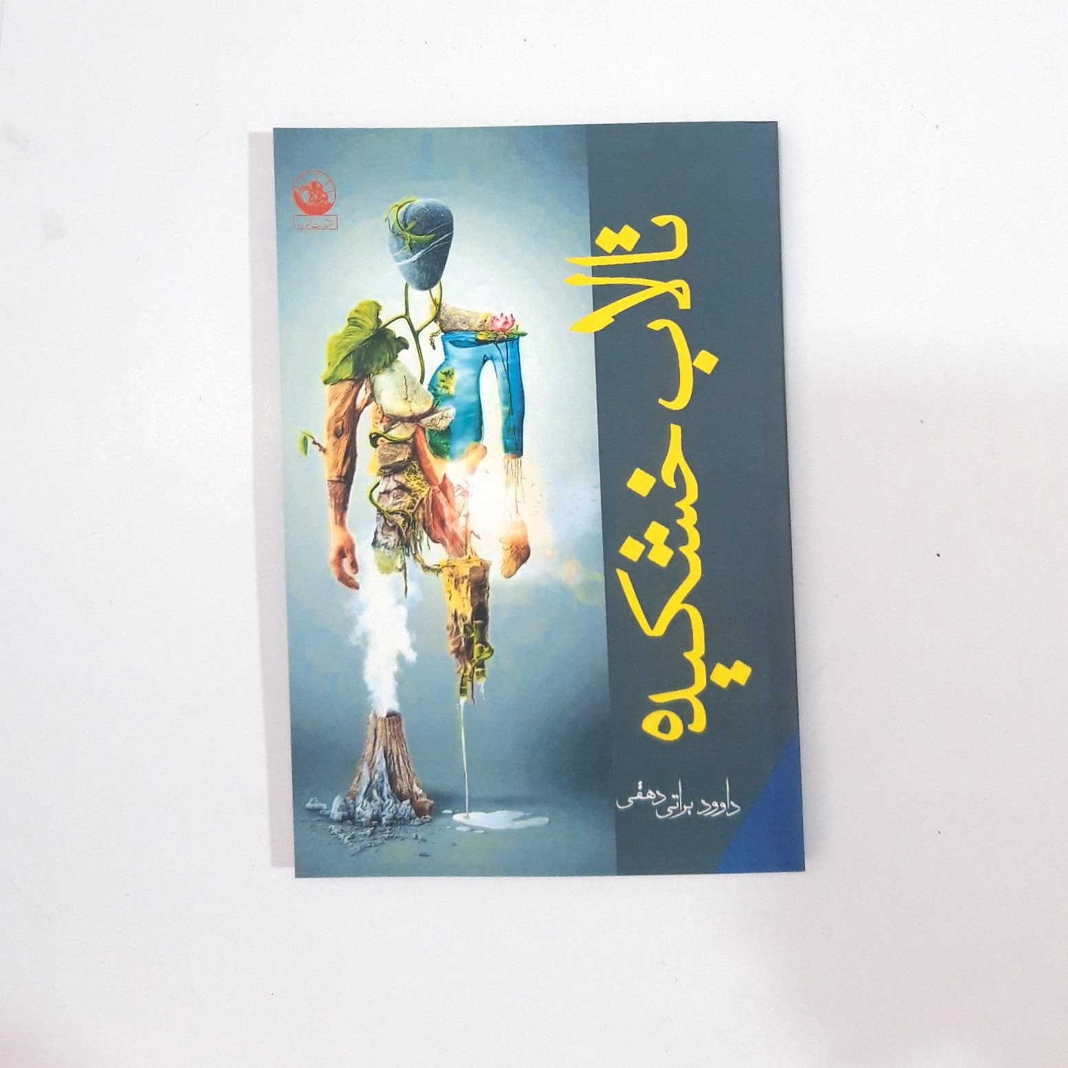 کتاب رمان تالاب خشکیده