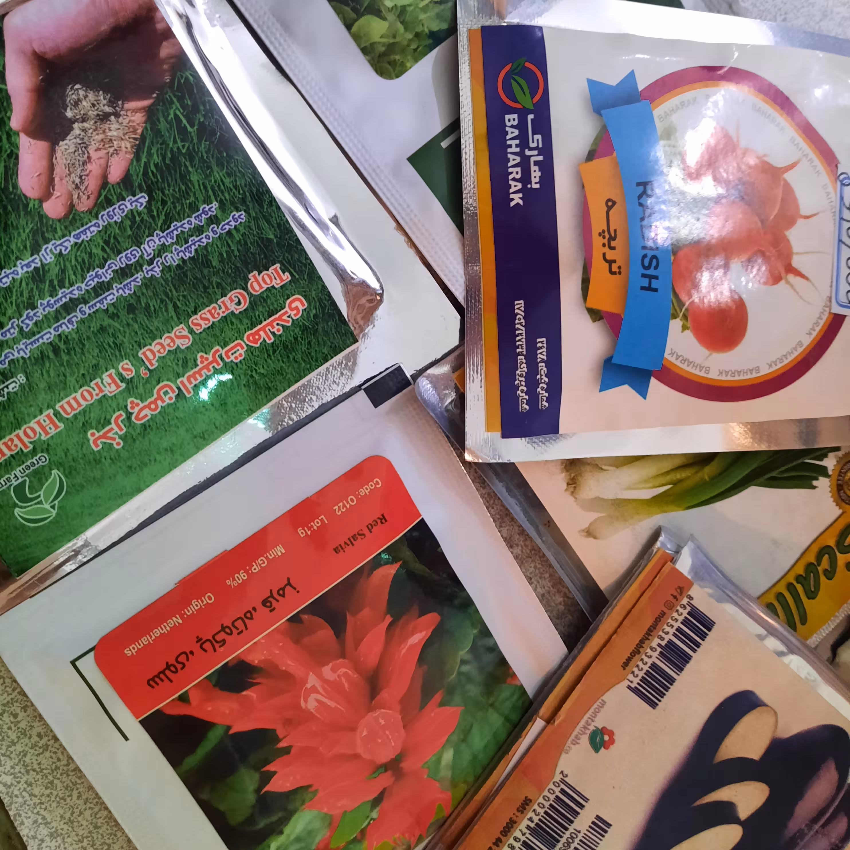 انواع بذر به انتخاب مشتری 