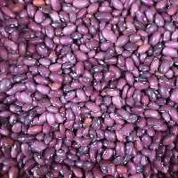 لوبیا قرمز  اعلاء 