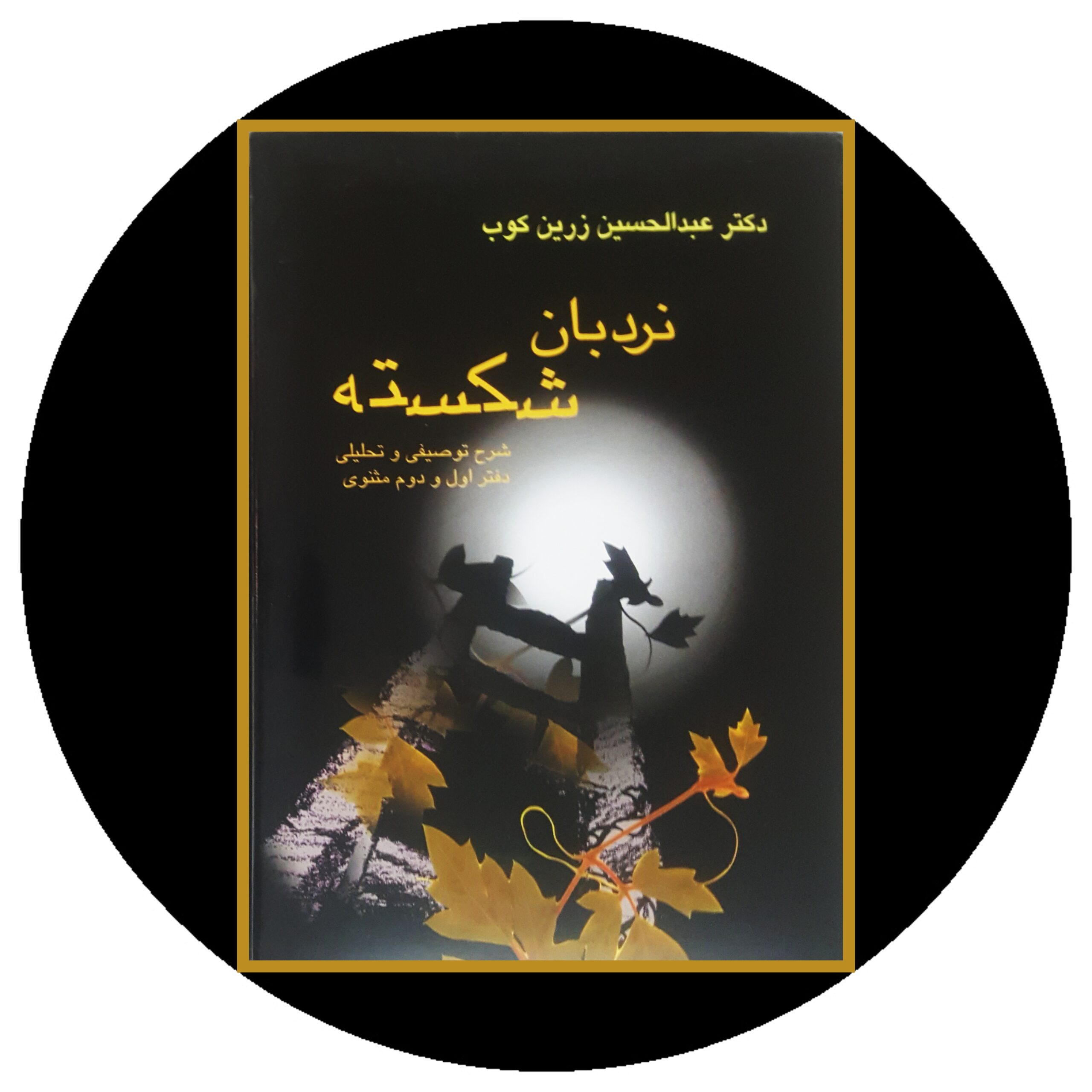 کتاب نردبان شکسته - خرید با تخفیف چهل درصد از کتاب دایره قهوه ای -