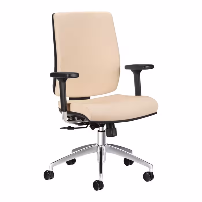 صندلی کارشناسی داتیس مدل فلوته XF460