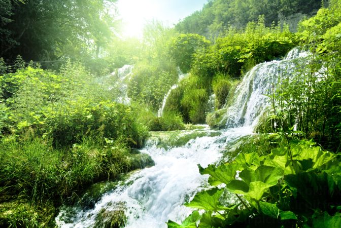 خرید و دانلود عکس Nature-Part-29 کد 36659 | پیک فاکس | Pic Fox