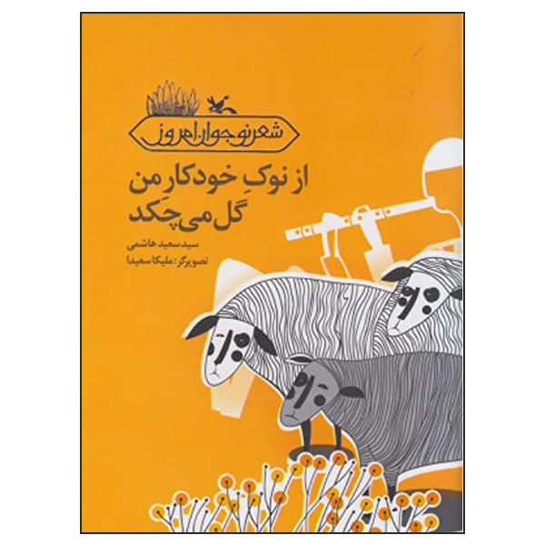 کتاب از نوک خودکار من گل می‌چکد اثر سید سعید هاشمی انتشارات کانون پرورش فکری کودکان و نوجوانان