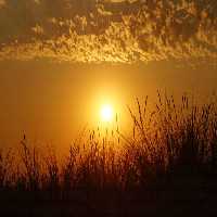 خرید و دانلود عکس Nature-Part-9 کد 37274 | پیک فاکس | Pic Fox