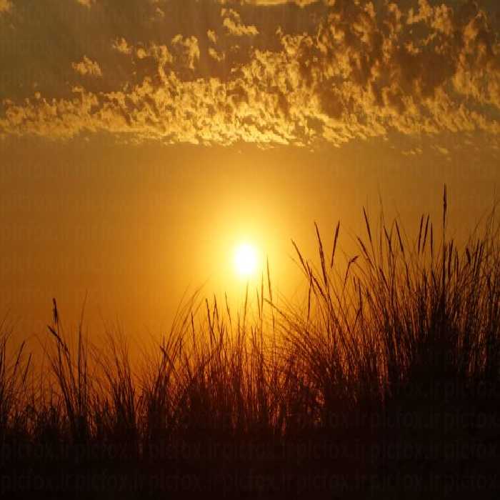 خرید و دانلود عکس Nature-Part-9 کد 37274 | پیک فاکس | Pic Fox