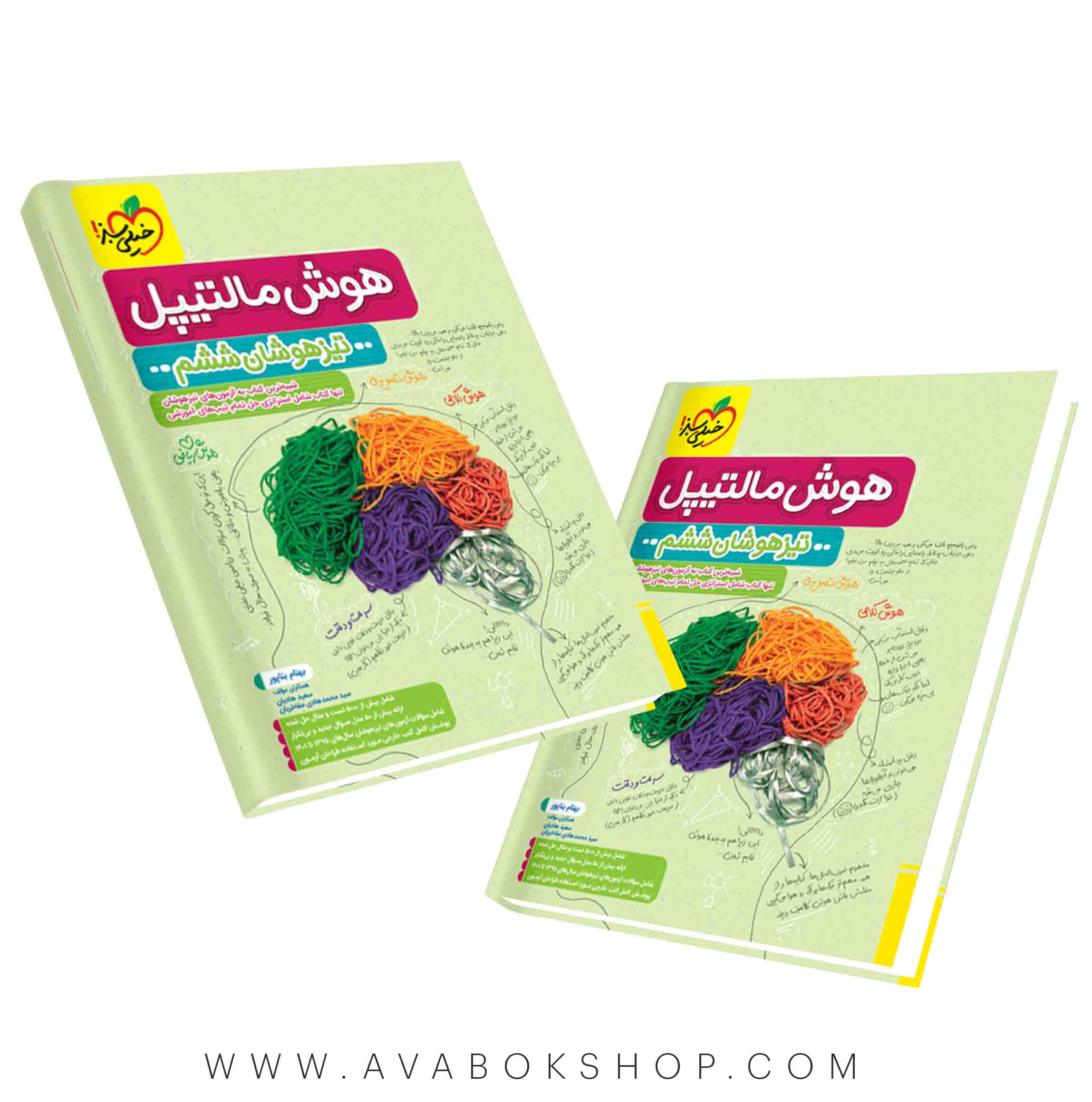 کتاب هوش مالتیپل تیزهوشان ششم دبستان خیلی سبز
