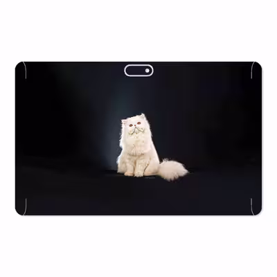 برچسب پوششی ماهوت مدل Persian cat مناسب برای تبلت جی ال ایکس W11 Plus