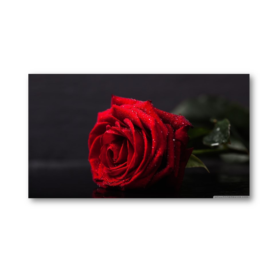 تابلو شاسی طرح گل رز