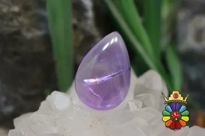 امتیست دامله(کاپوشی)