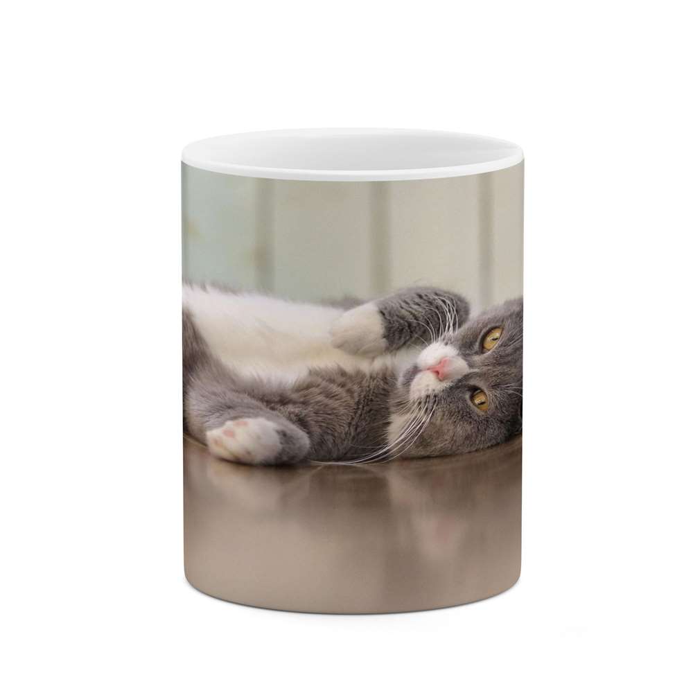 ماگ کاکتی طرح گربه مدل mgs16473