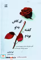 قیمت و خرید کتاب ای کاش به او گفته بودم | ایده بوک