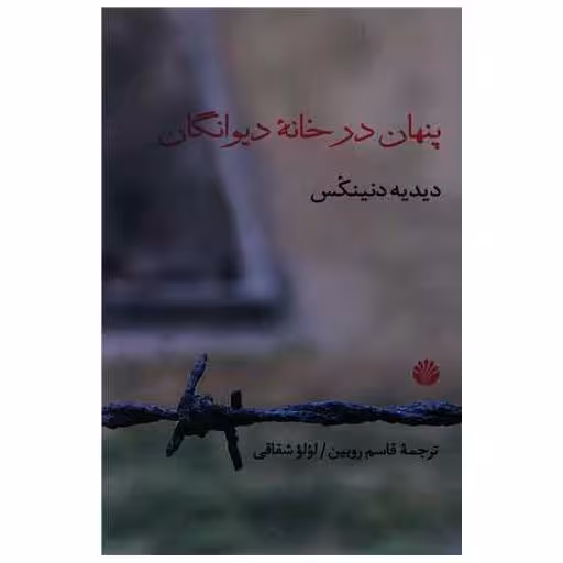 کتاب پنهان در خانه دیوانگان اثر دیدیه دنینکس