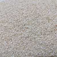 کنجد سفید ممتاز