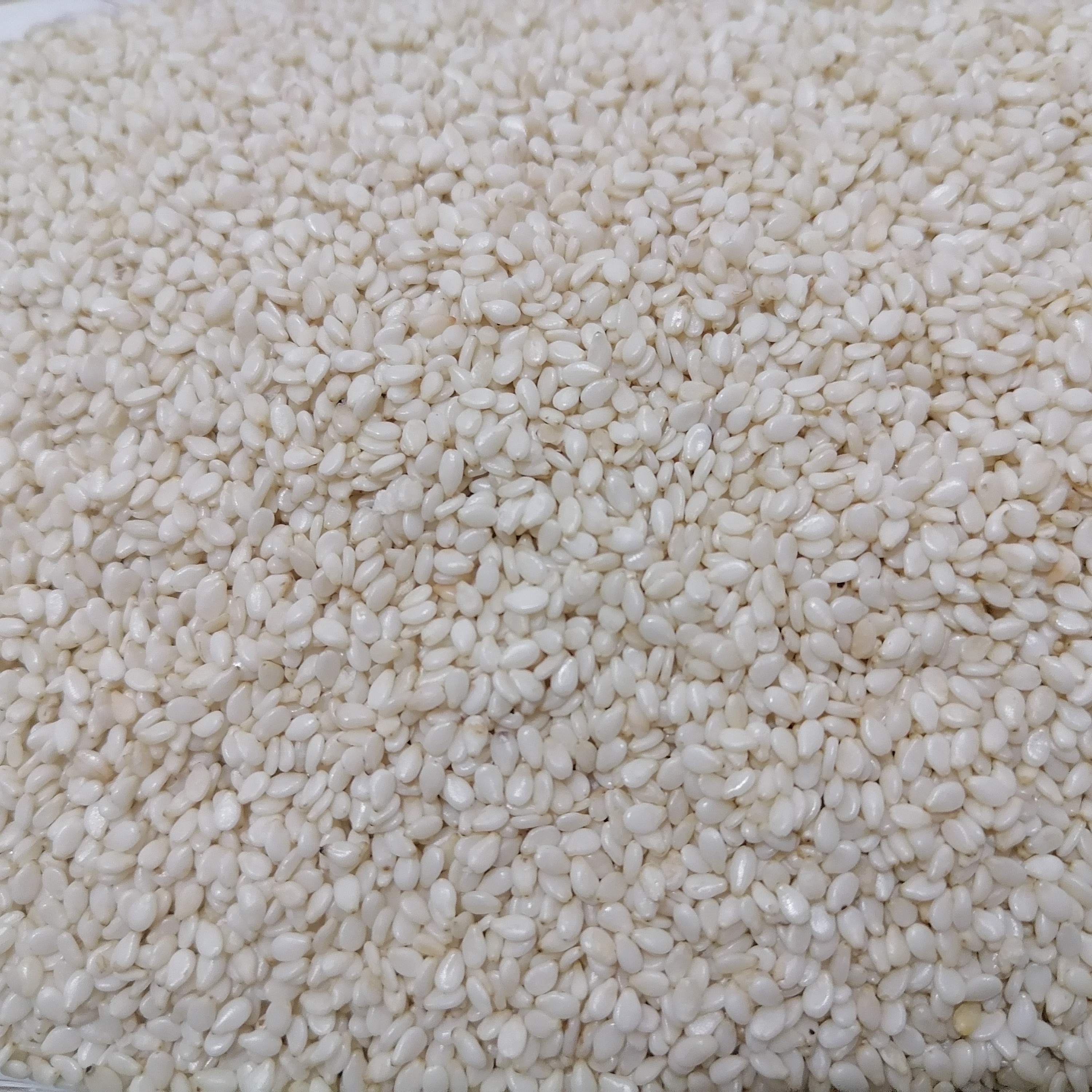 کنجد سفید ممتاز