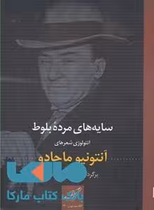 سایه های مرده بلوط نشر کوله پشتی