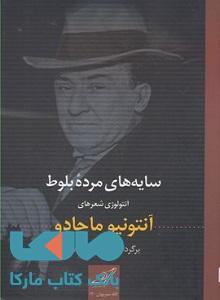 سایه های مرده بلوط نشر کوله پشتی