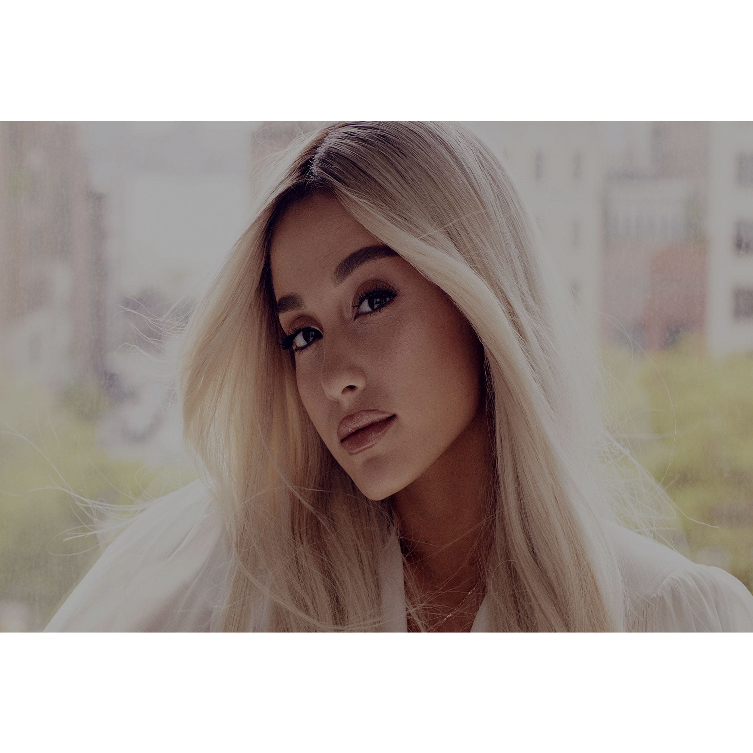 تابلو شاسی مدل خواننده آریانا گرانده T6025