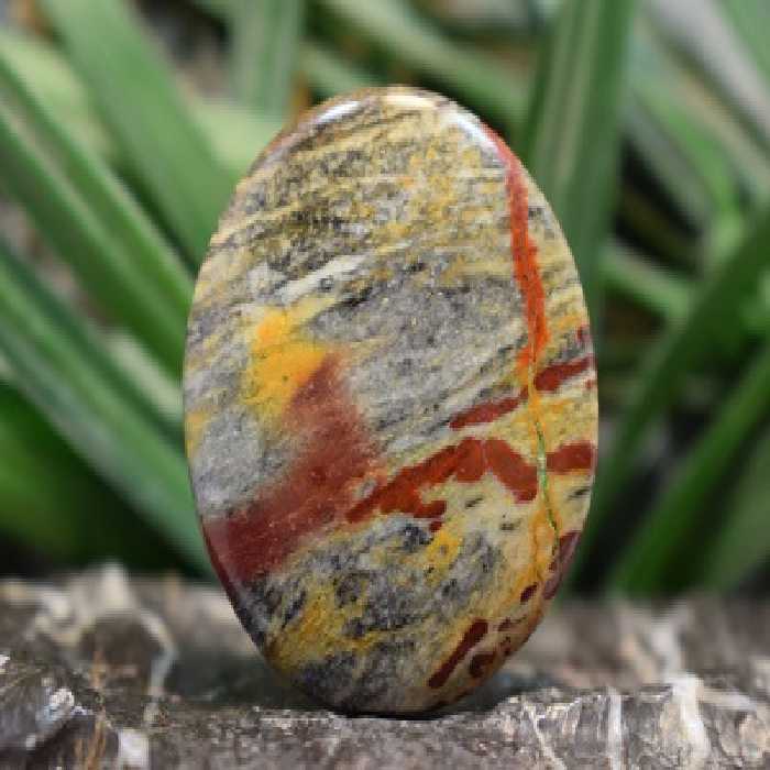 سونورا جاسپر